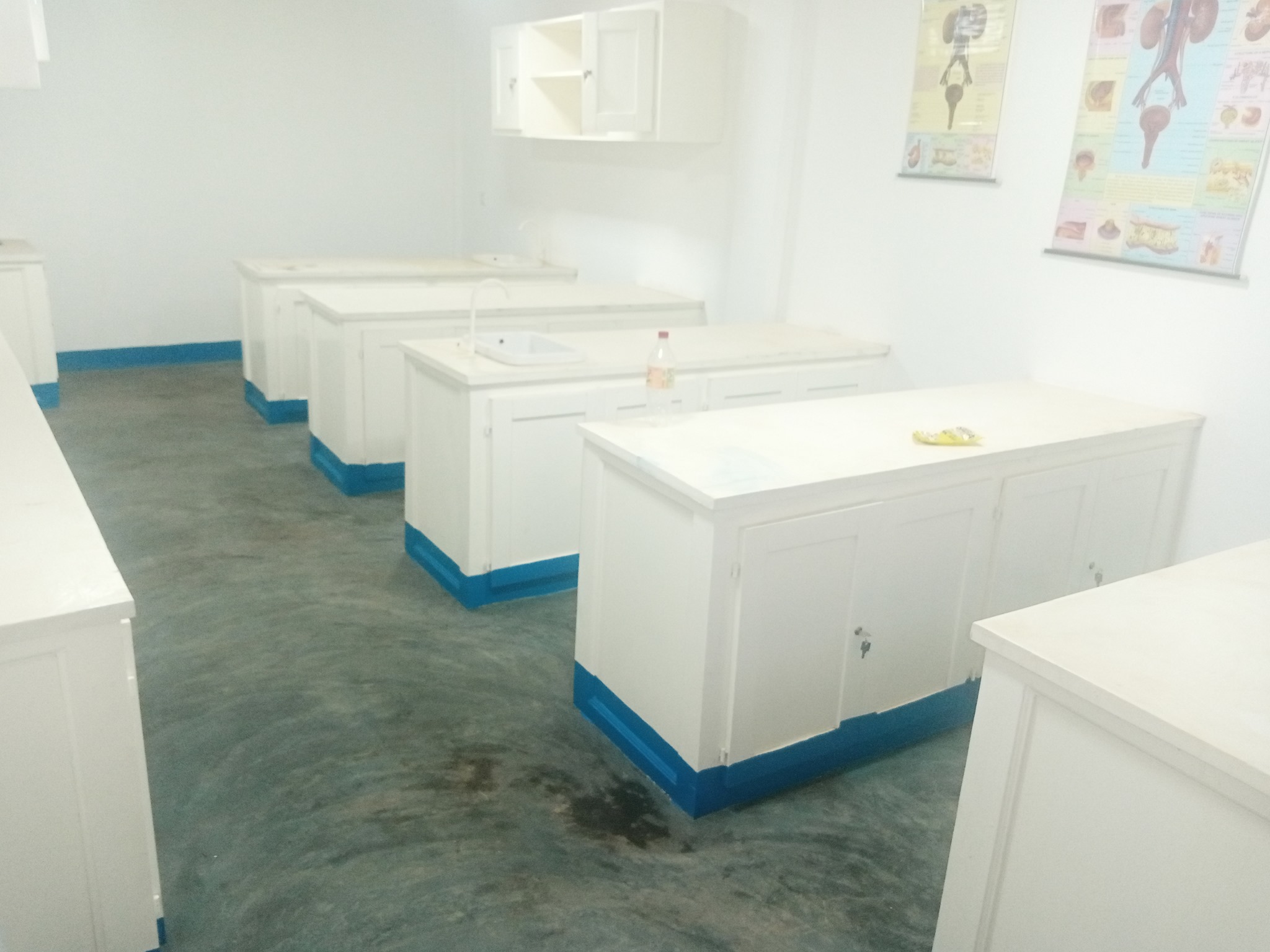 Laboratory Setup Project 11